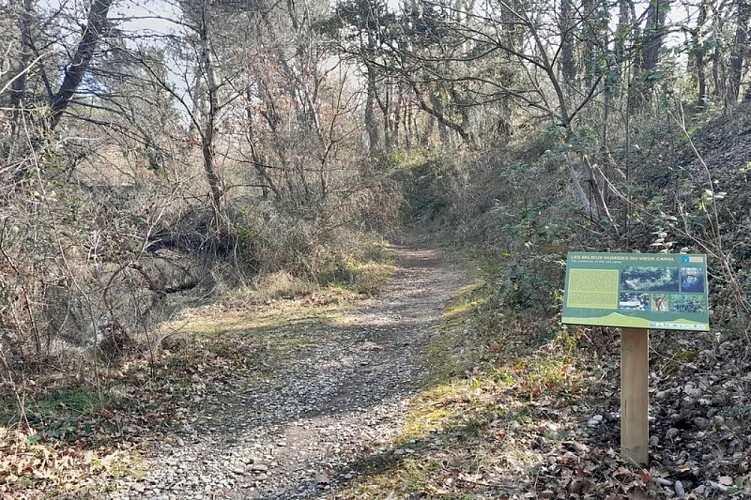 Sentier le long du Vieux canal