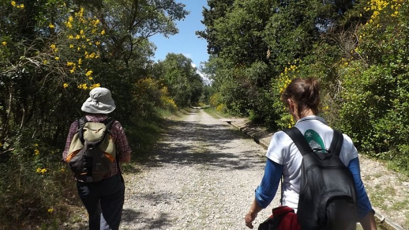 Chemin en pied de digue