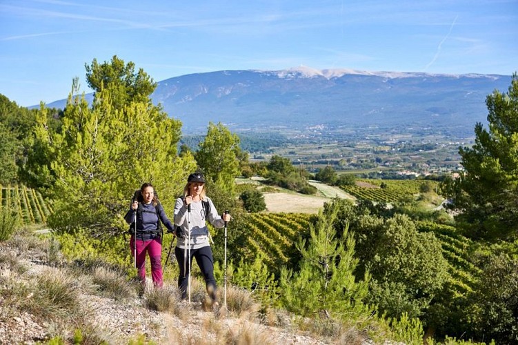 Panorama Ventoux vers Blauvac