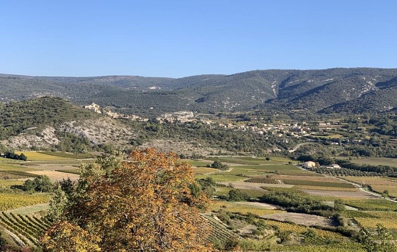 Méthamis vignes et paysage