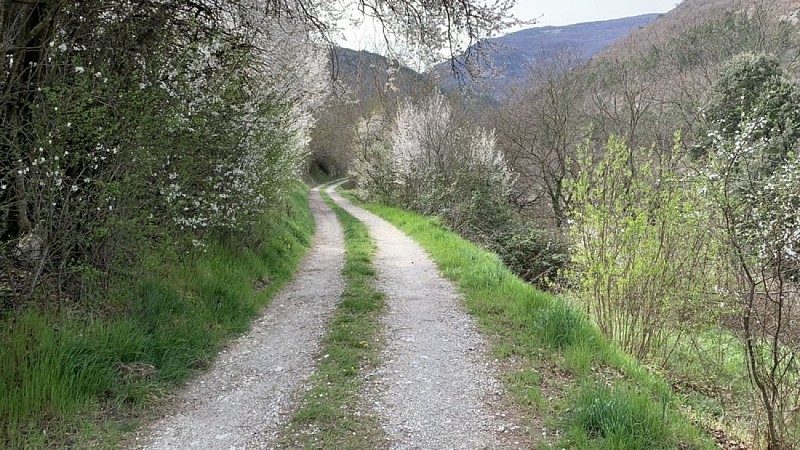 Descente au village de Montjoux