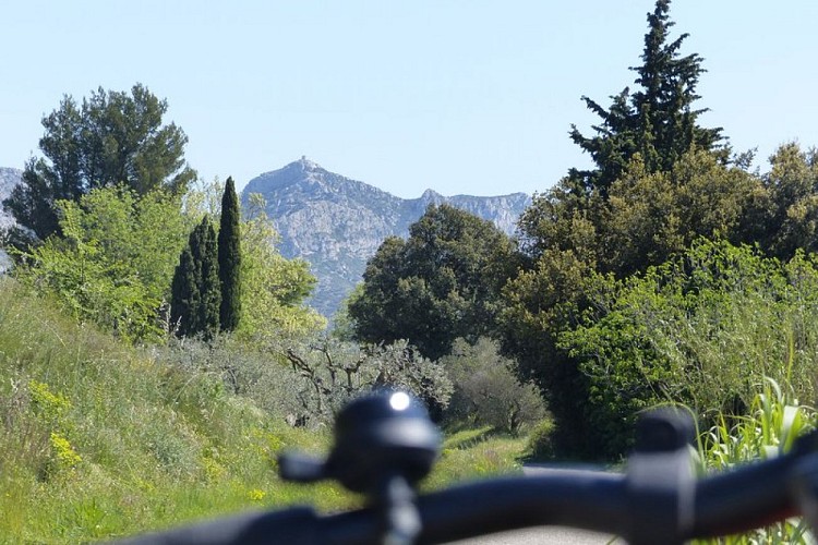 Vue sur la tour des Opies depuis la D24A