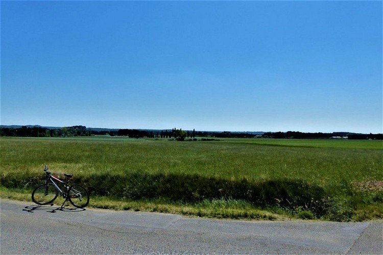 La plaine de Maussane-les-Alpilles