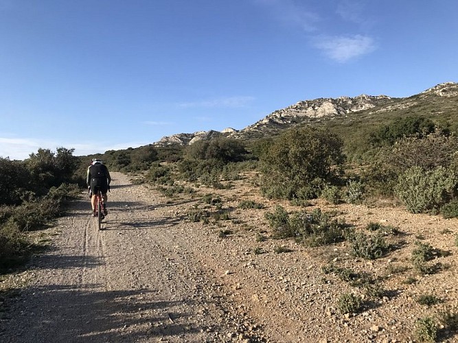 MOURIÈS - Du piémont à la Crau verte en gravel