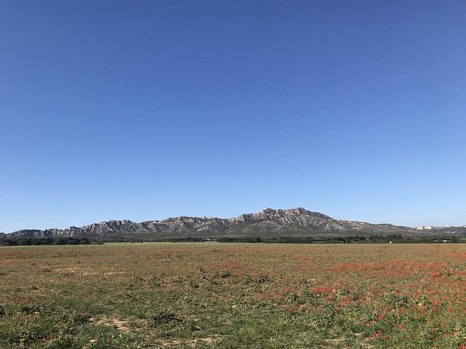 MOURIÈS - Du piémont à la Crau verte en gravel