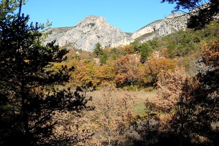 Vue sur les falaises