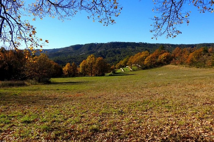 Vue sur les restanques