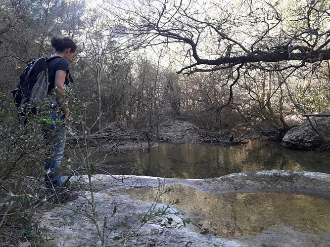 Véroncle, source de vie