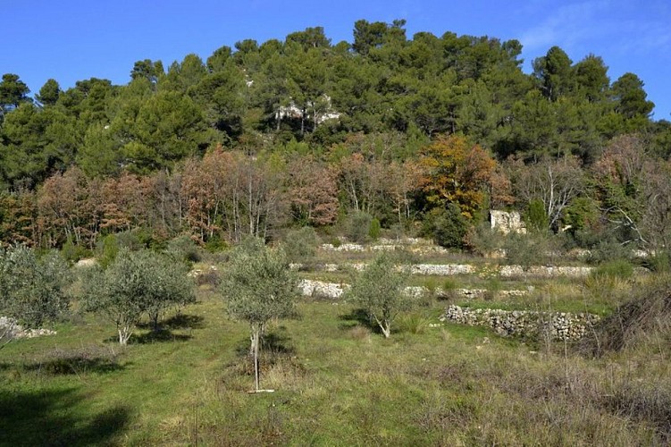 L'ancienne ferme de Mantelette