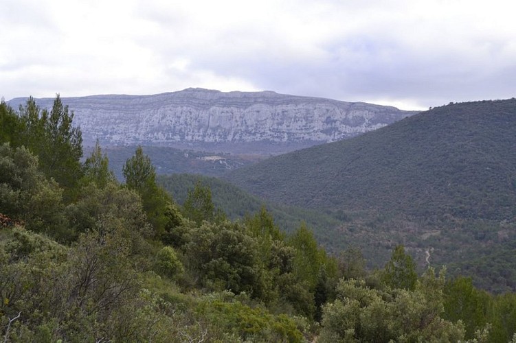 Vue de l'ubac de la Sainte-Baume