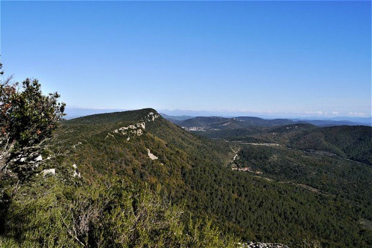 Le long de la crête