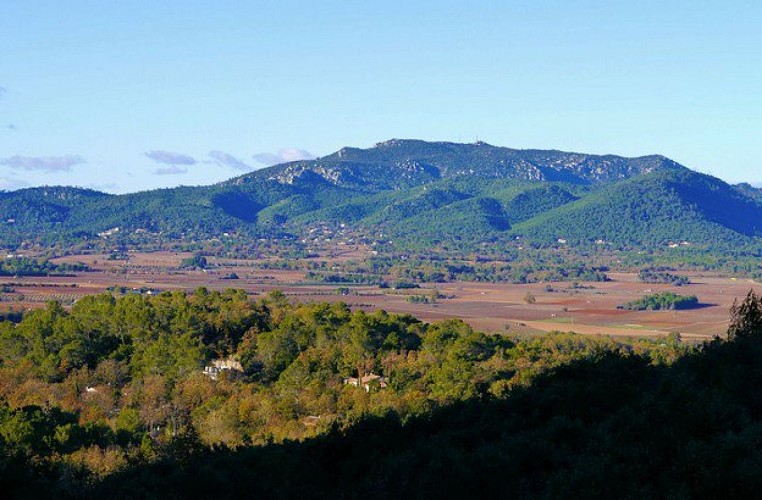 Vue de Néoules et de la Loube