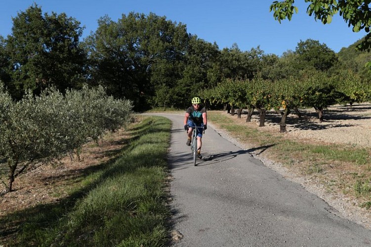 Entre les oliviers et les abricotiers, sur le chemin du Crapon