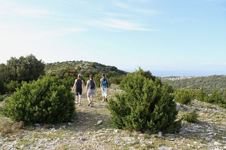 Sur les crêtes du Petit Luberon