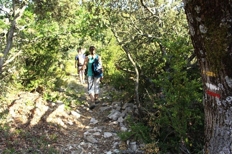 Ascension du Petit Luberon par le GR®