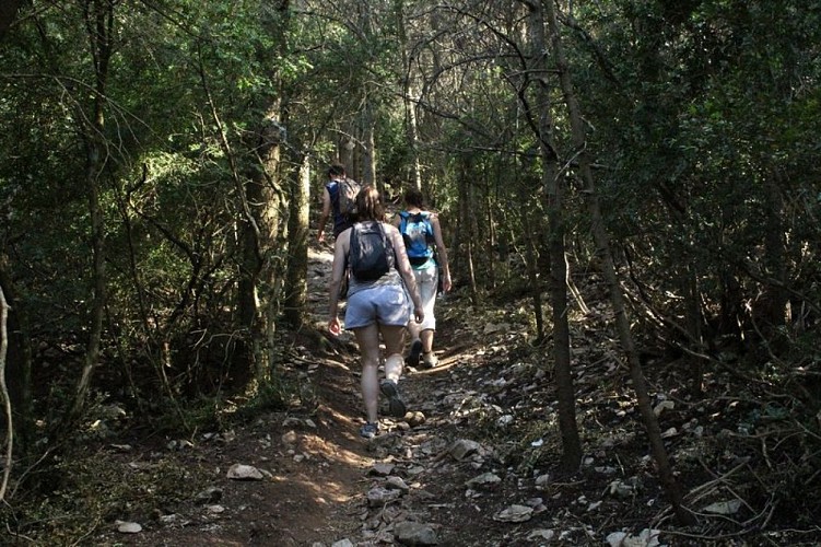 A l'attaque de la montée vers les crêtes