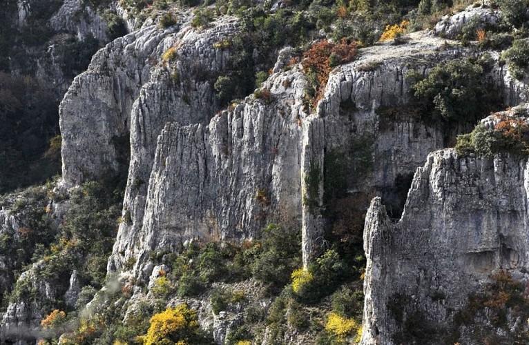 Faciès urgonien des Gorges d'Oppedette