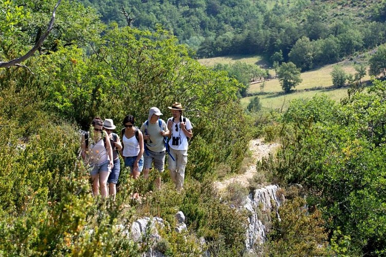 Cheminement autour des Gorges d'Oppedette