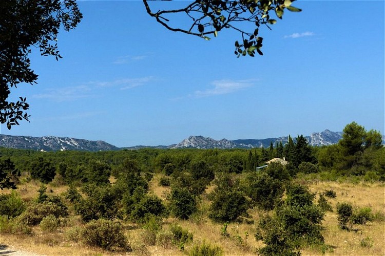 Paysage provençal