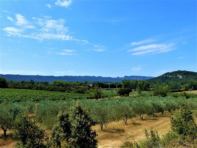 Vue sur Valdition et les Alpilles