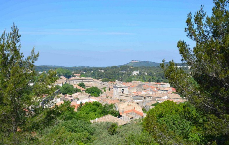 Sur les hauteurs d'Orgon