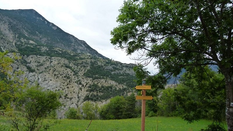Au pied du Pain de Sucre