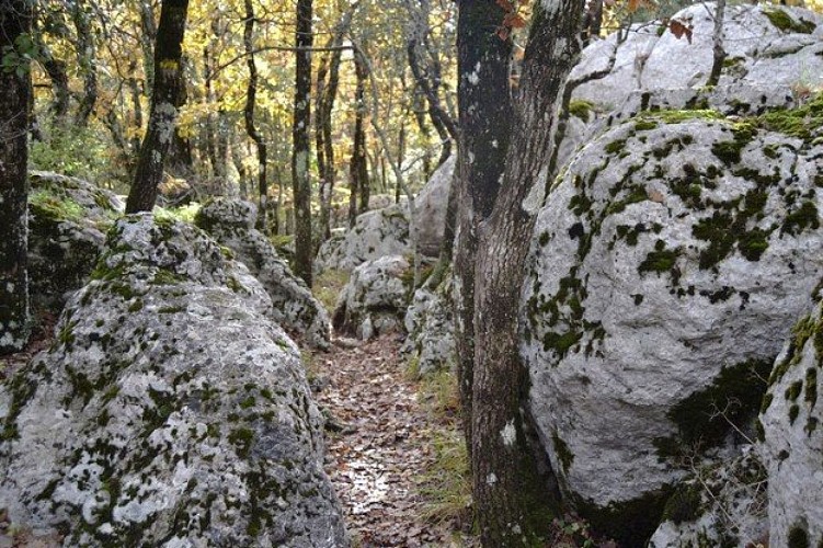 Milieu karstique au plateau de la Cayre