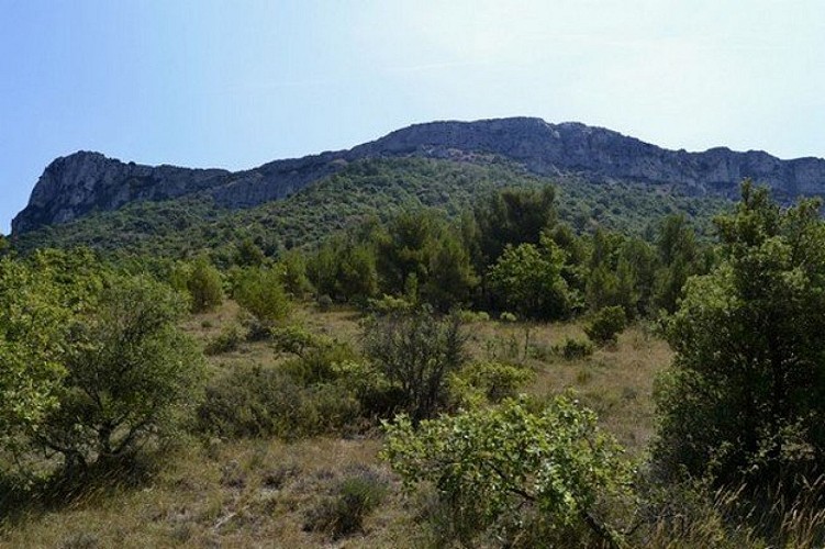 Aux pieds du Mont Aurélien