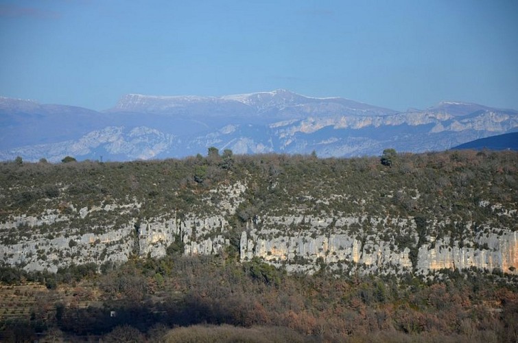 Vue sur les falaises