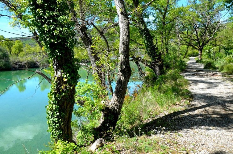 Sur le sentier de la Préhistoire