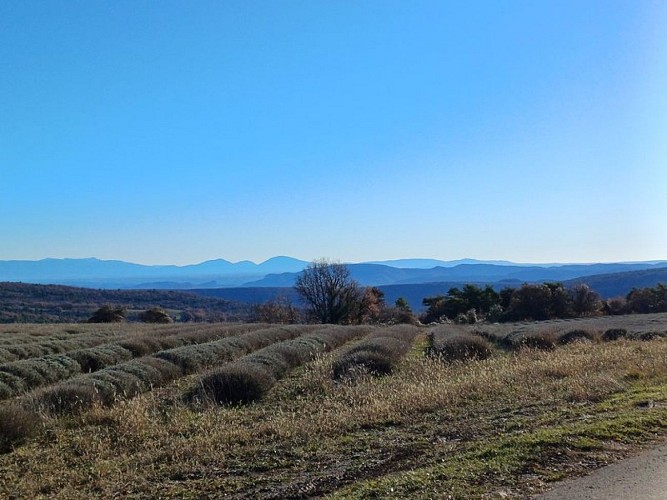 Vue sur le Luberon oriental depuis le plateau de Vachères (D14)