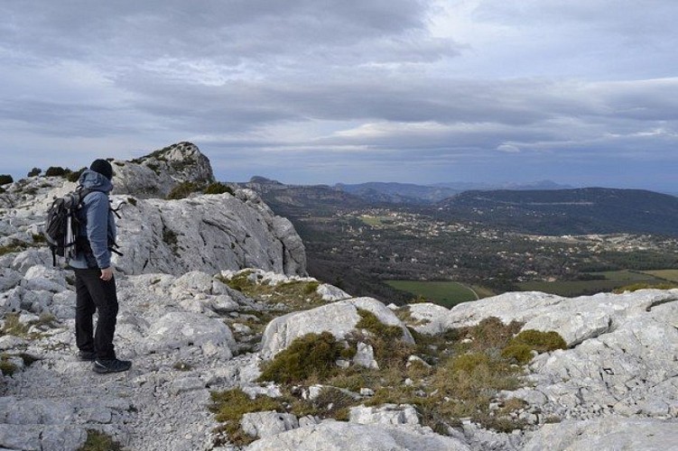 Paysage vers le nord depuis la crête