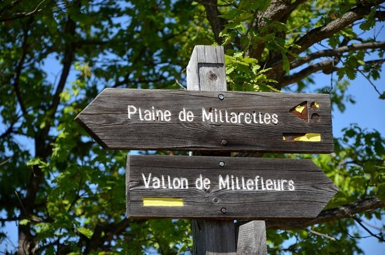 Suivre le bon chemin