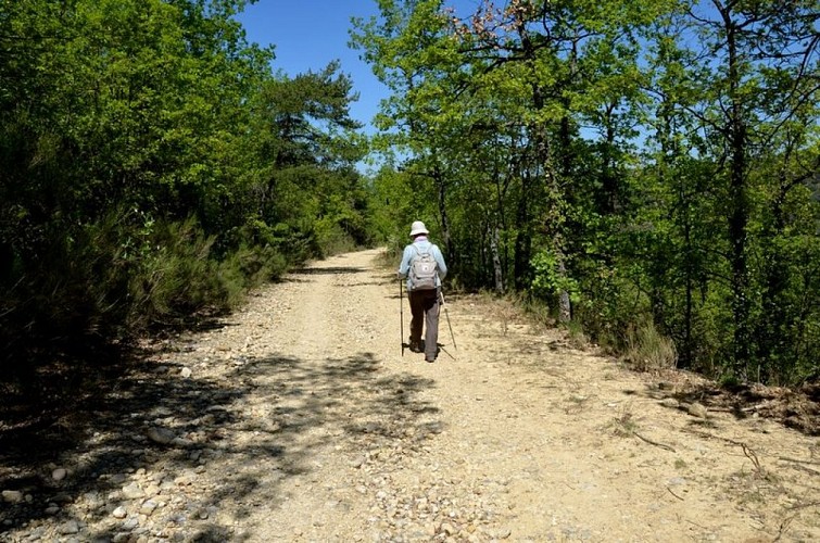 Promenade buccolique