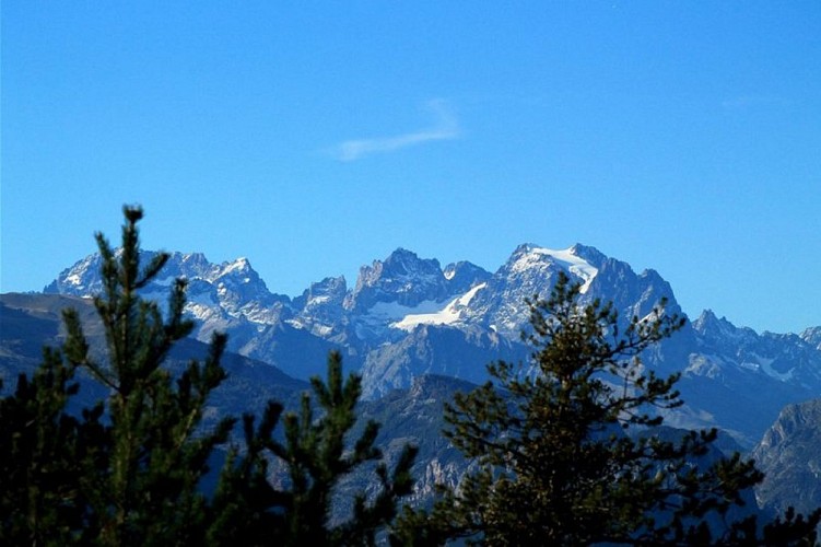 Zoom sur le Pelvoux et le Glacier Blanc, massif des Ecrins