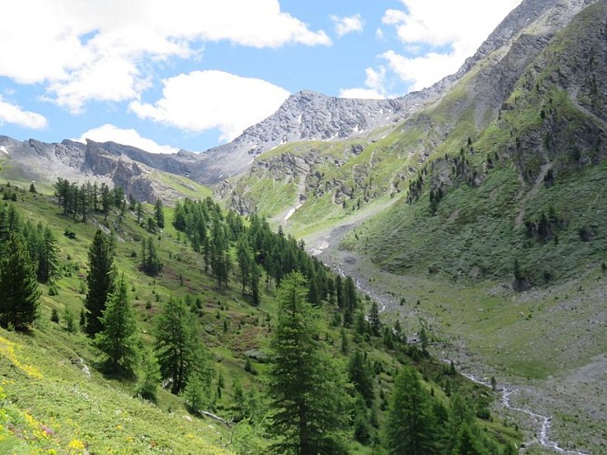 Haut vallon du torrent de Ségure