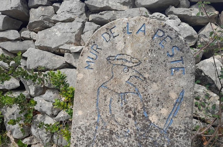 Mur de la Peste sur les hauteurs de Cabrières d'Avignon