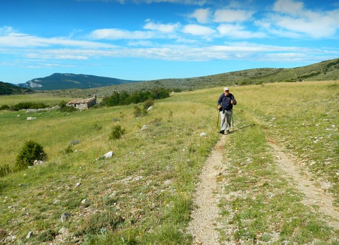 Sur le plateau de Suech