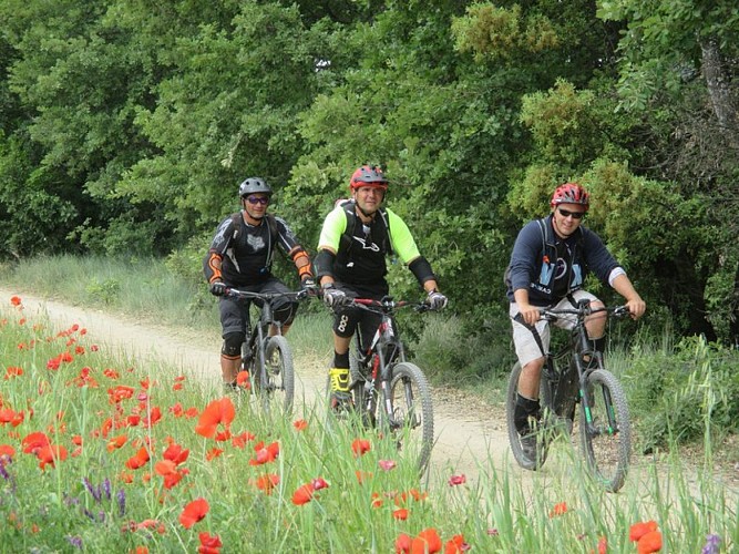 Plateau de Caseneuve