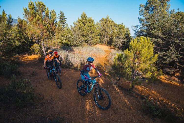 La Bruyère à Villars
