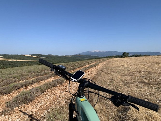Vue sur le Géant de Provence