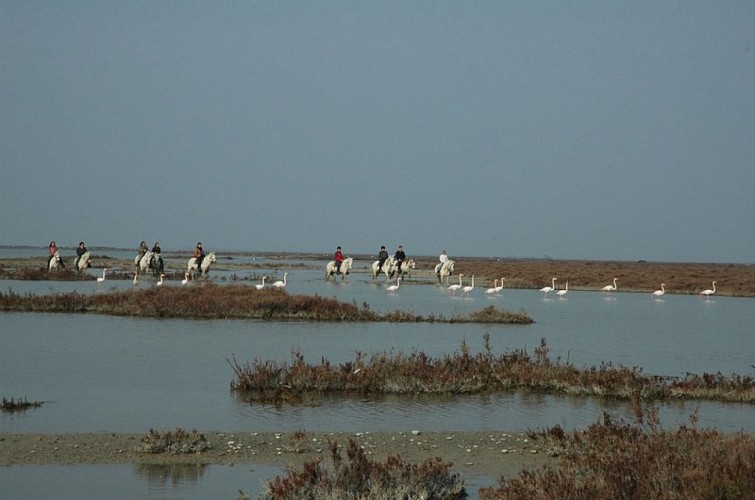 SAINTES-MARIES-DE-LA-MER - Le tour de Vaccarès à vélo en 2 jours