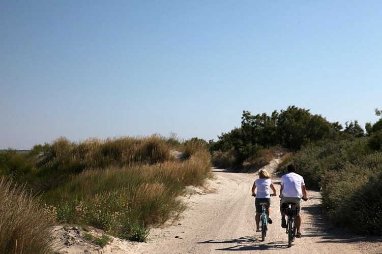 Cyclistes sur la digue à la mer