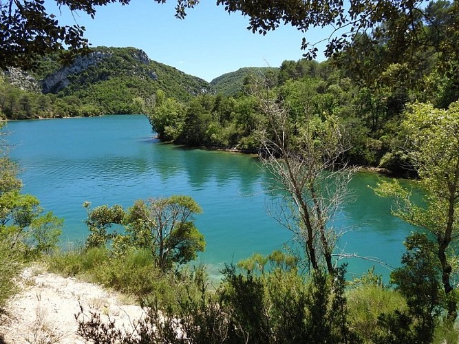 Criques du lac d'Esparron