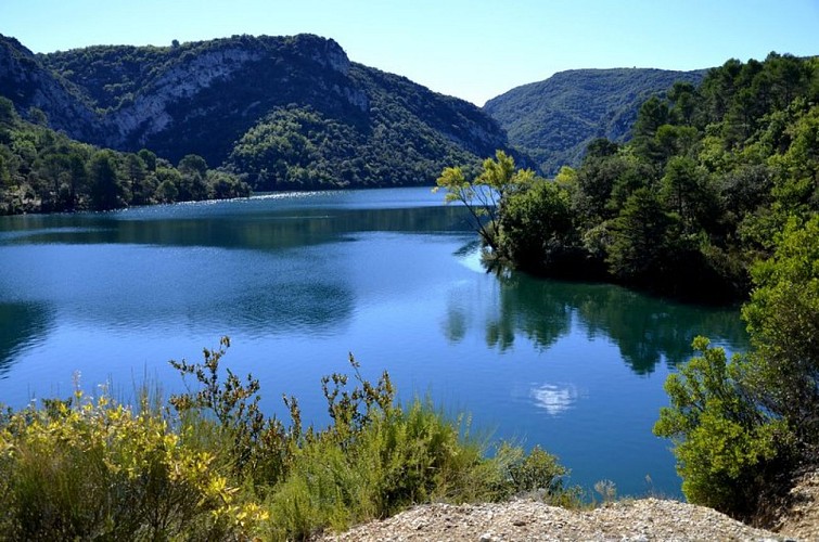 Dans le bleue du lac