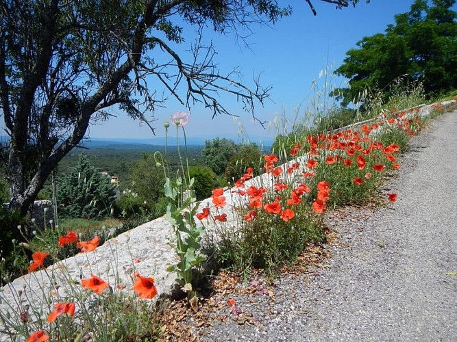 La montée du vieux village