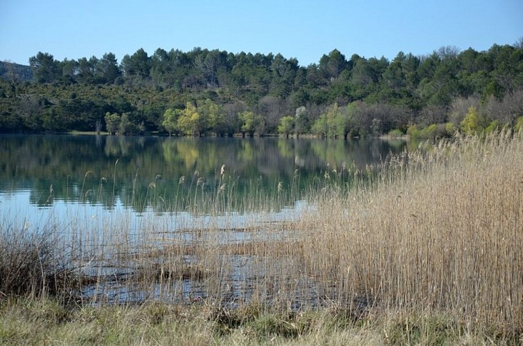Roselieres