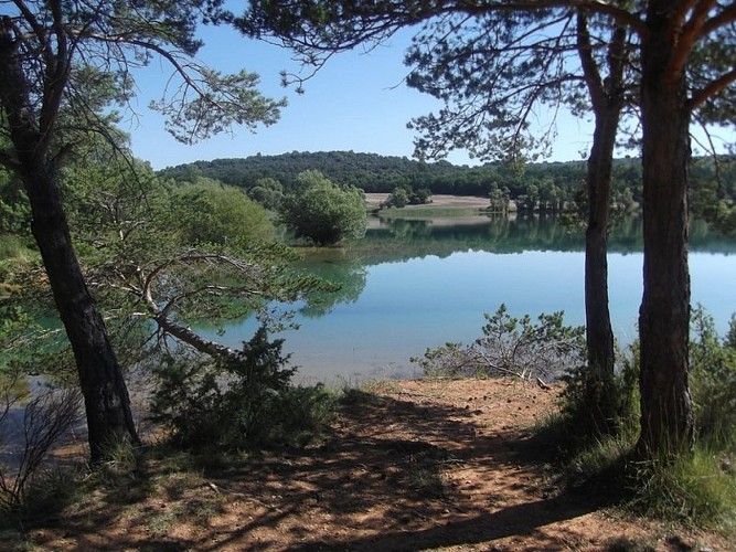 Un matin calme au lac