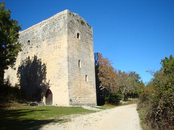 Tour médiévale de Porchères