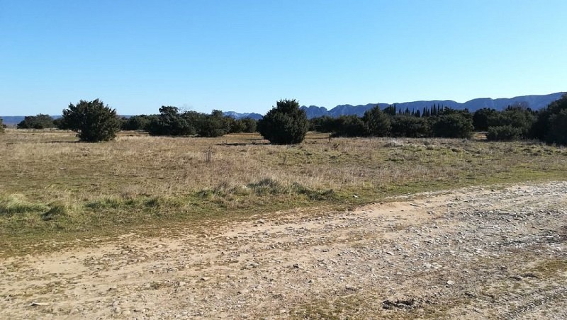 Milieu ouvert de la Petite Crau